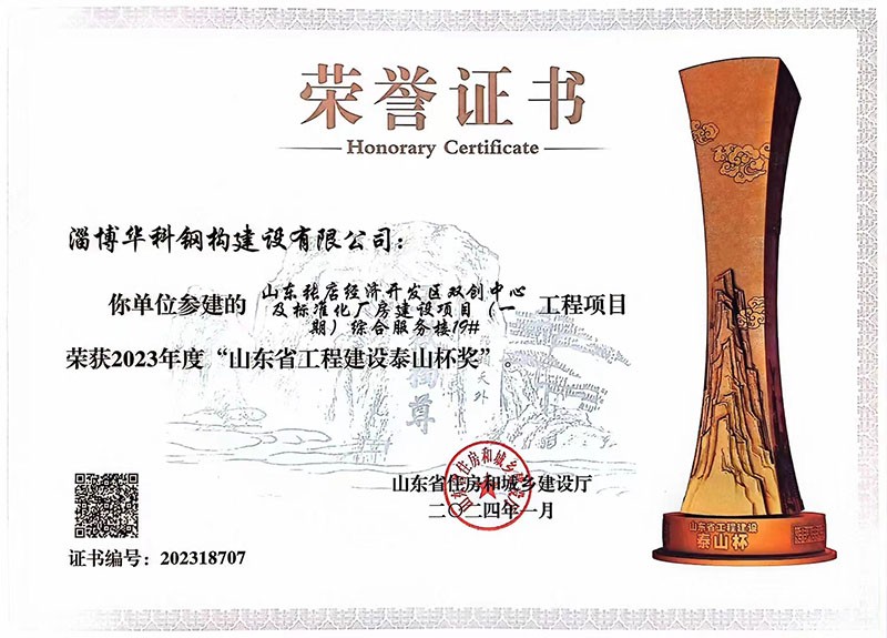 泰山杯奖